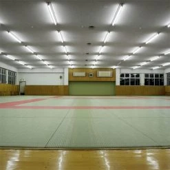Beemat Dojo Mat