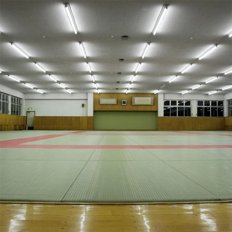 Beemat Dojo Mat 3 Beemat Dojo Mat