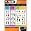 PosterFit Arms Exercise Poster 1 PosterFit Arms Exercise Poster -Harrod Sport shop it057101