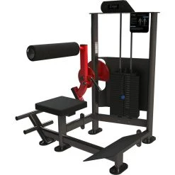 Exigo Selectorized Back And Abdominal Combo