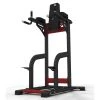Exigo Leg Raise And Dipping Station 2 Exigo Leg Raise And Dipping Station -Harrod Sport shop it067120a