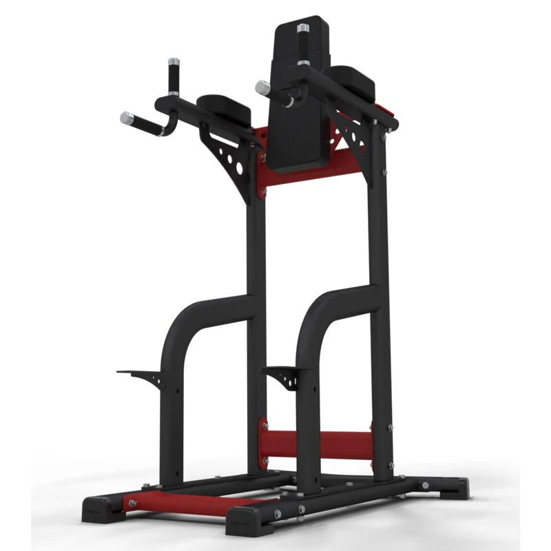 Exigo Leg Raise And Dipping Station 3 Exigo Leg Raise And Dipping Station