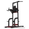 Exigo Rear Chinning Dipping Leg Raise Station 2 Exigo Rear Chinning Dipping Leg Raise Station -Harrod Sport shop it067122a