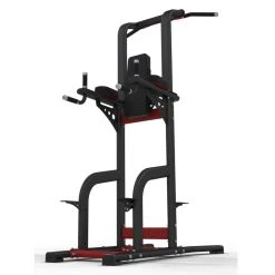 Exigo Rear Chinning Dipping Leg Raise Station