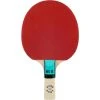 Sure Shot Matthew Syed 25 Table Tennis Bat -Harrod Sport shop it093018