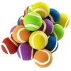 First Play Coloured Tennis Ball 20 Pack -Harrod Sport shop it095370