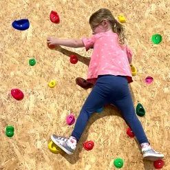 Annapurna Children's Climbing Holds 32 Pack -Harrod Sport shop it099004e 3